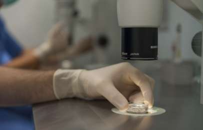 Fecondazione in vitro a Salerno
