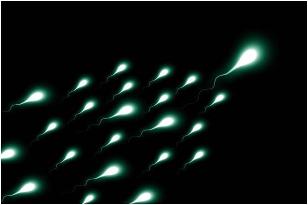 Frammentazione del DNA spermatico